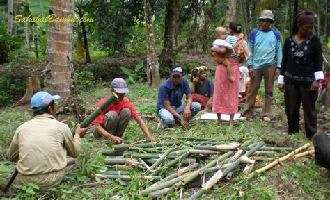 Pemanfaatan Bambu Hitam Hitada sebagai Sumber Pendapatan di Sektor Pendidikan